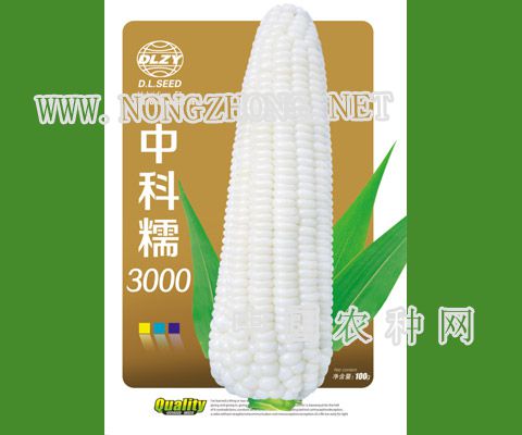 中科糯3000